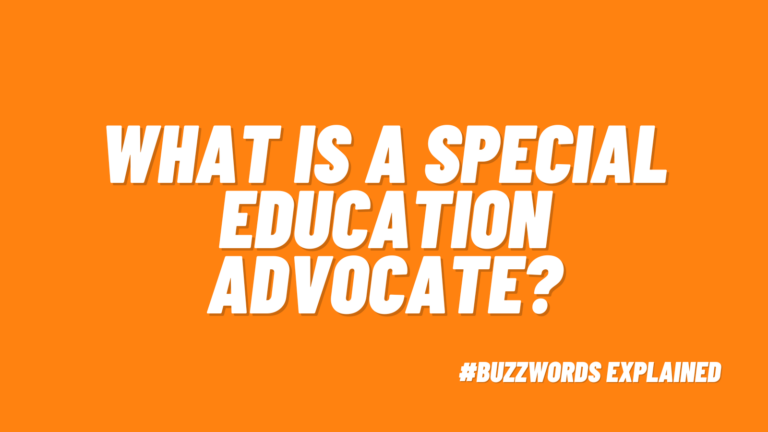 special education advocate