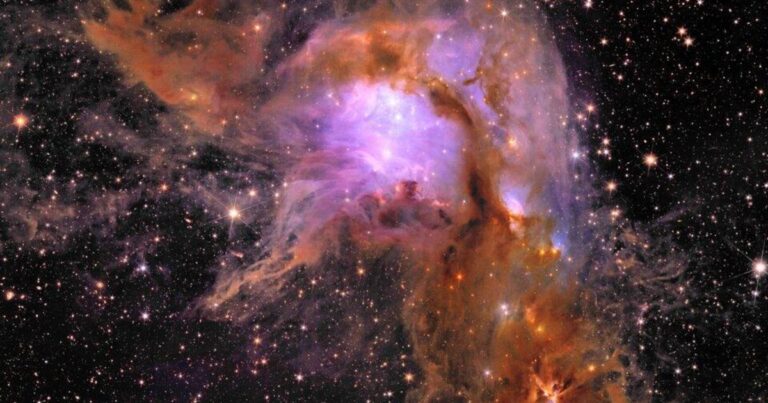 euclid s new image of star forming region messier 78 article