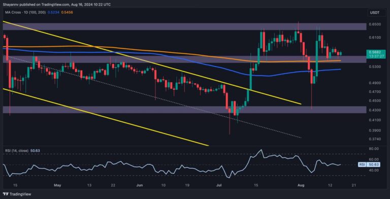 XRP D 2 scaled