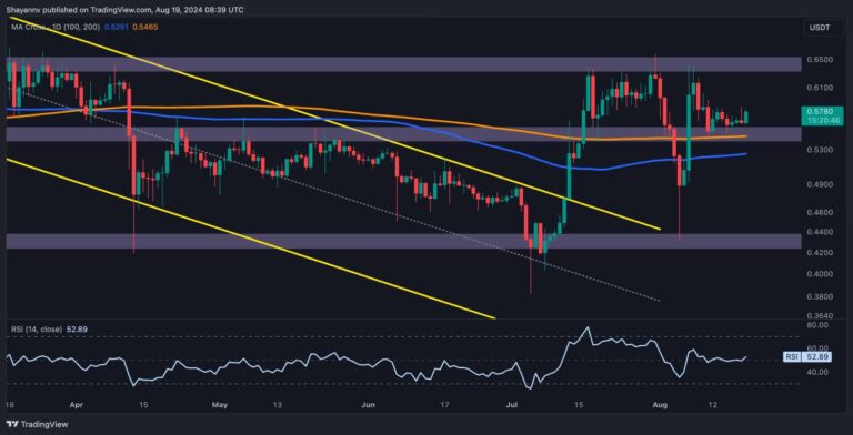 XRP D 3 scaled