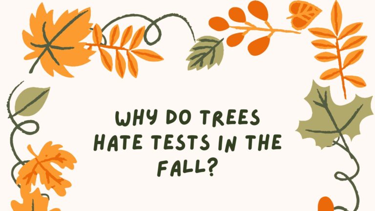 fall jokes feature