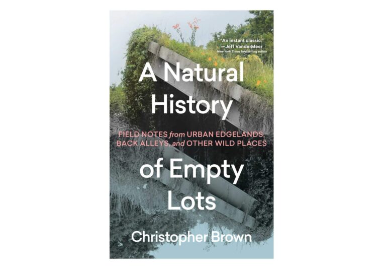 A Natural History of Empty Lots Cover