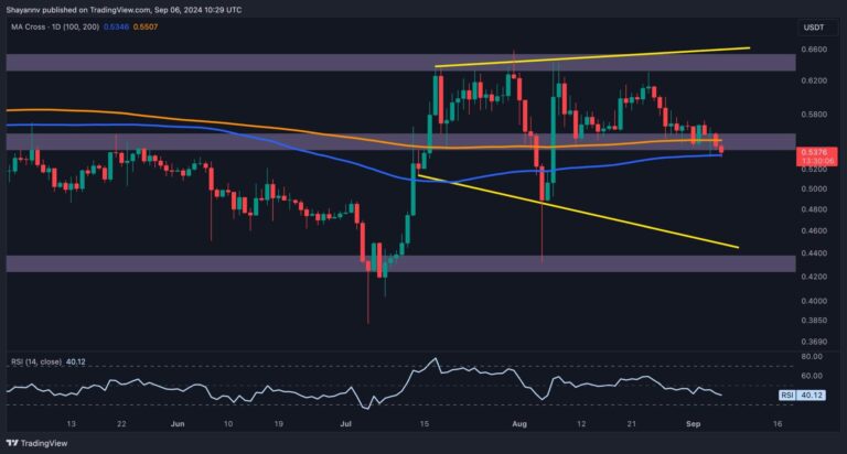 XRP D 1 scaled