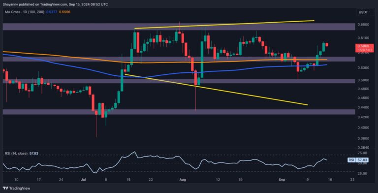 XRP D 3 scaled