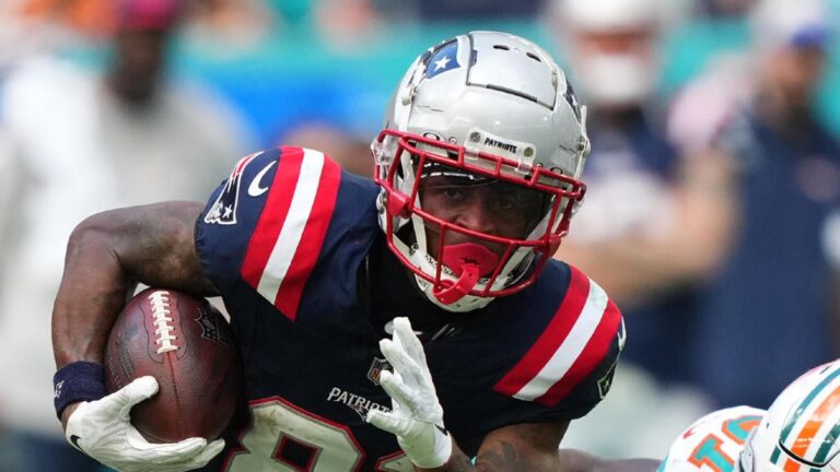 demario douglas patriots