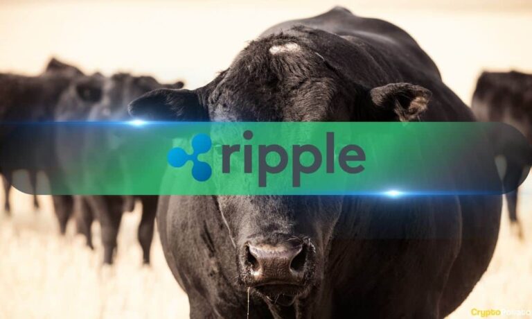 Ripple Bulls