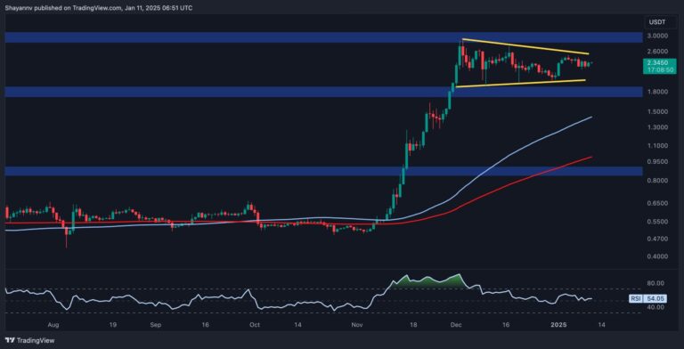 XRP D 2 scaled