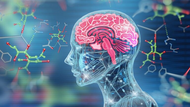 brain cells neuronal network