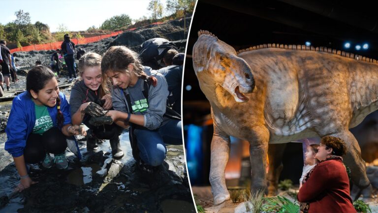 nj dino museum split