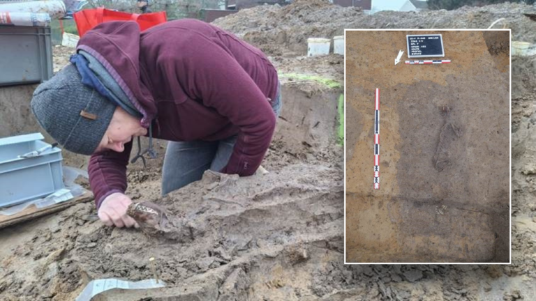 archaeology ancient roman dog found 1