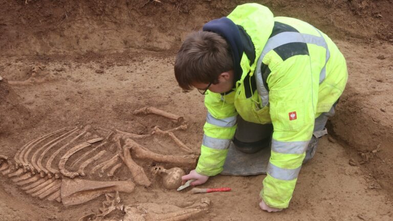 germany dig 3