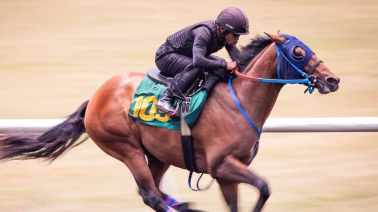 horse racing 3 usatsi