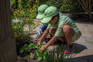 young volunteers carefully plant new flowers