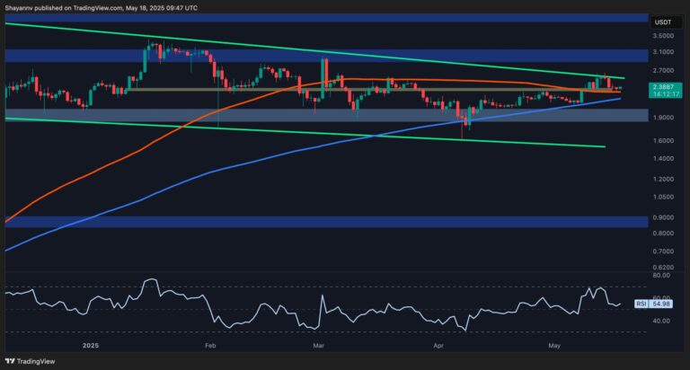 XRP D 4 scaled